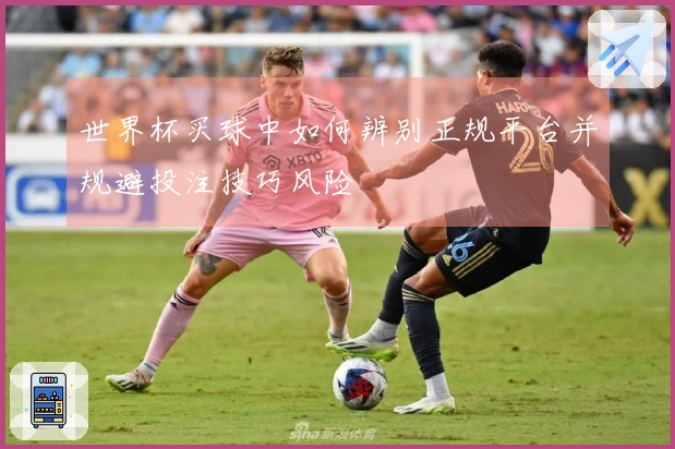 世界杯买球中如何辨别正规平台并规避投注技巧风险